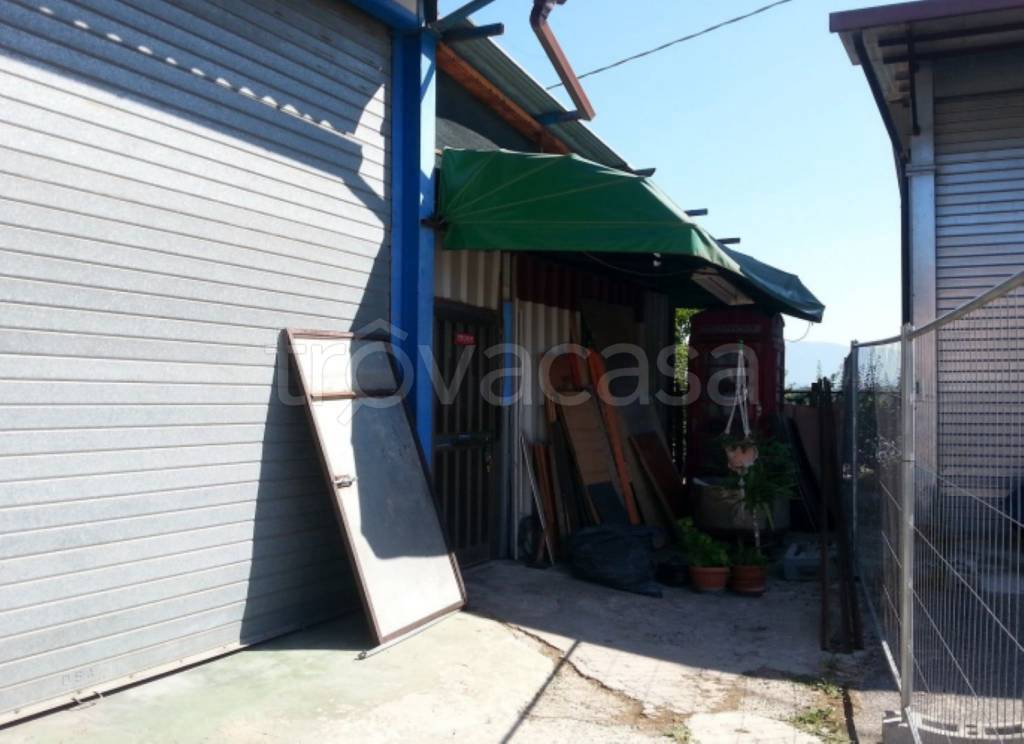 immagine annuncio 3 di 12