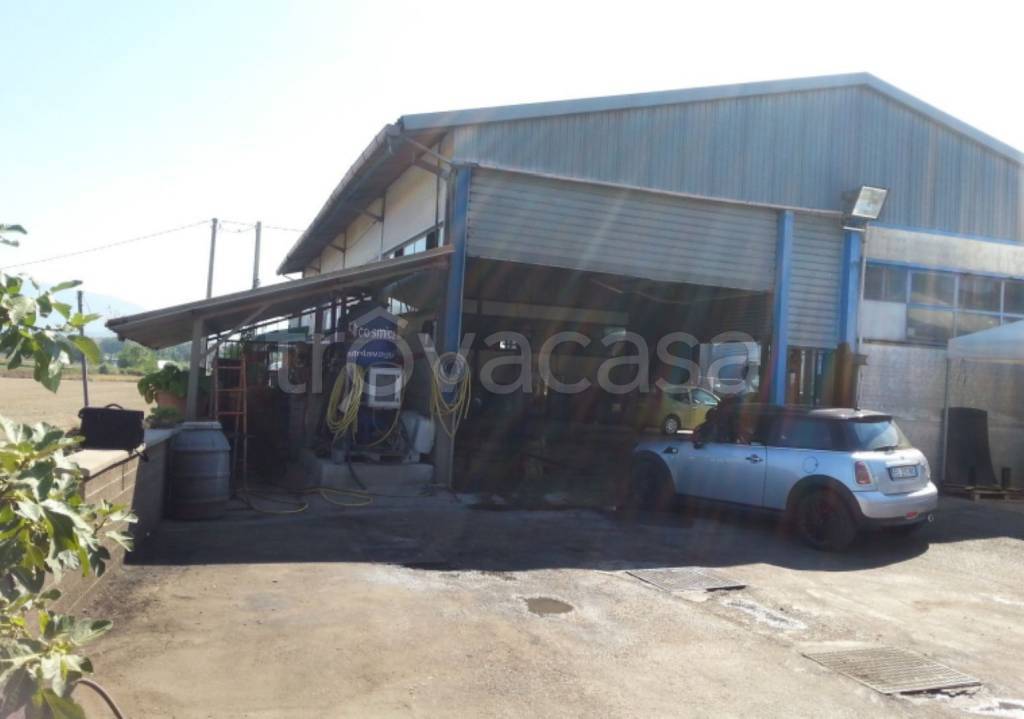 immagine annuncio 4 di 12