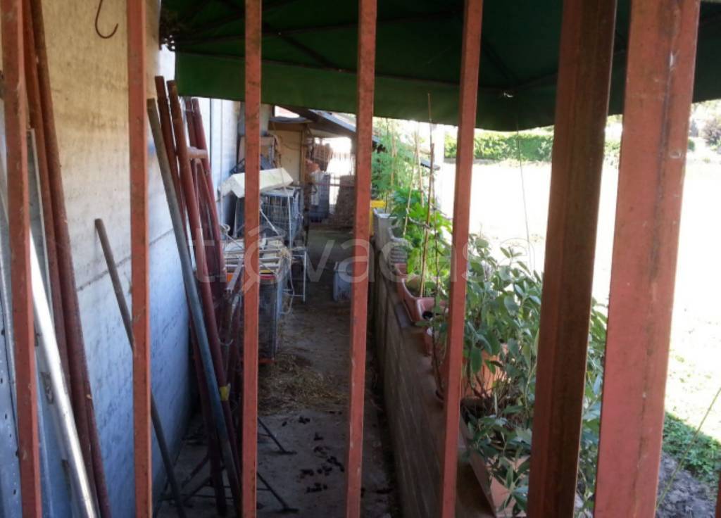 immagine annuncio 6 di 12