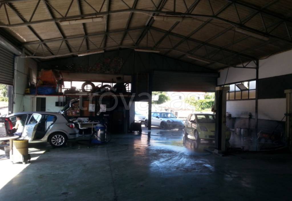 immagine annuncio 7 di 12