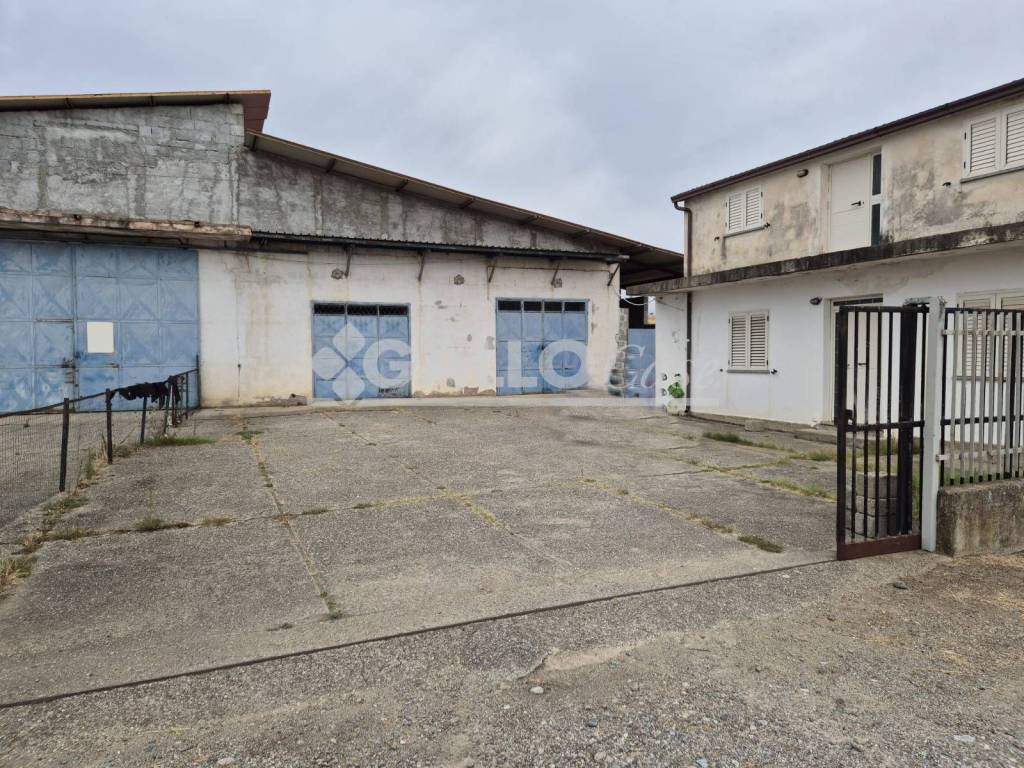 immagine annuncio 4 di 15