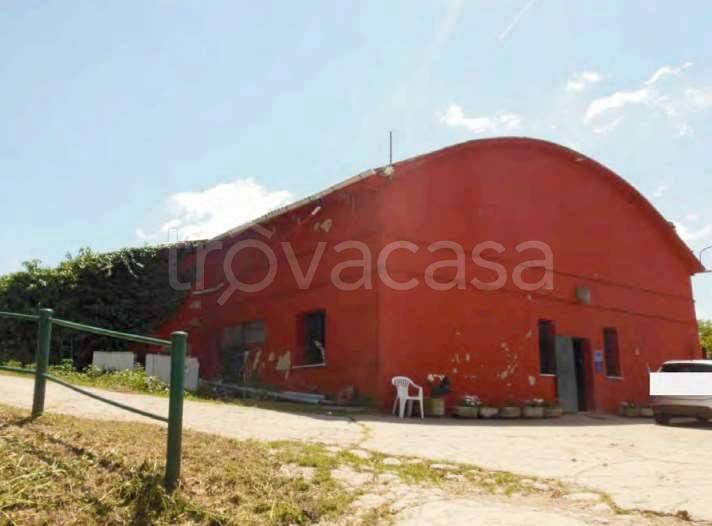 immagine annuncio 2 di 12