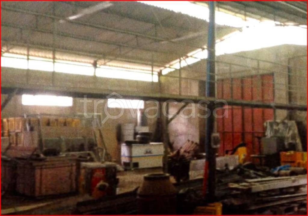 immagine annuncio 3 di 12