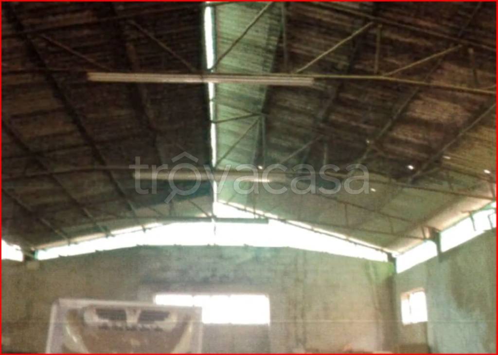 immagine annuncio 4 di 12