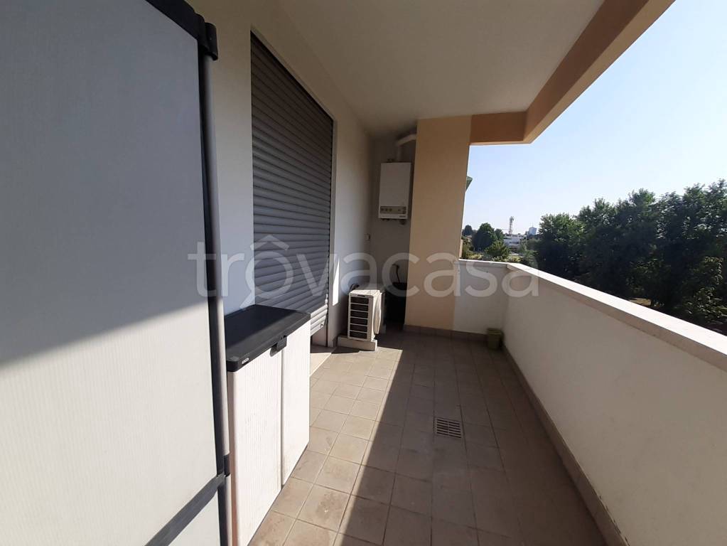 immagine annuncio 1 di 8