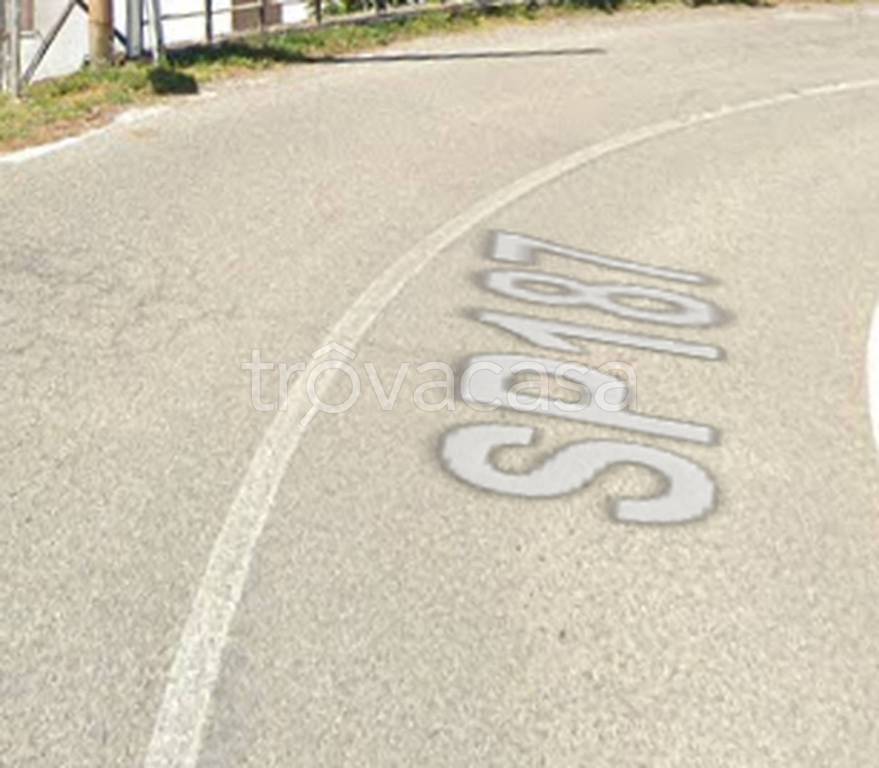 immagine annuncio 9 di 11