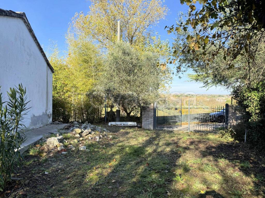 immagine annuncio 1 di 14