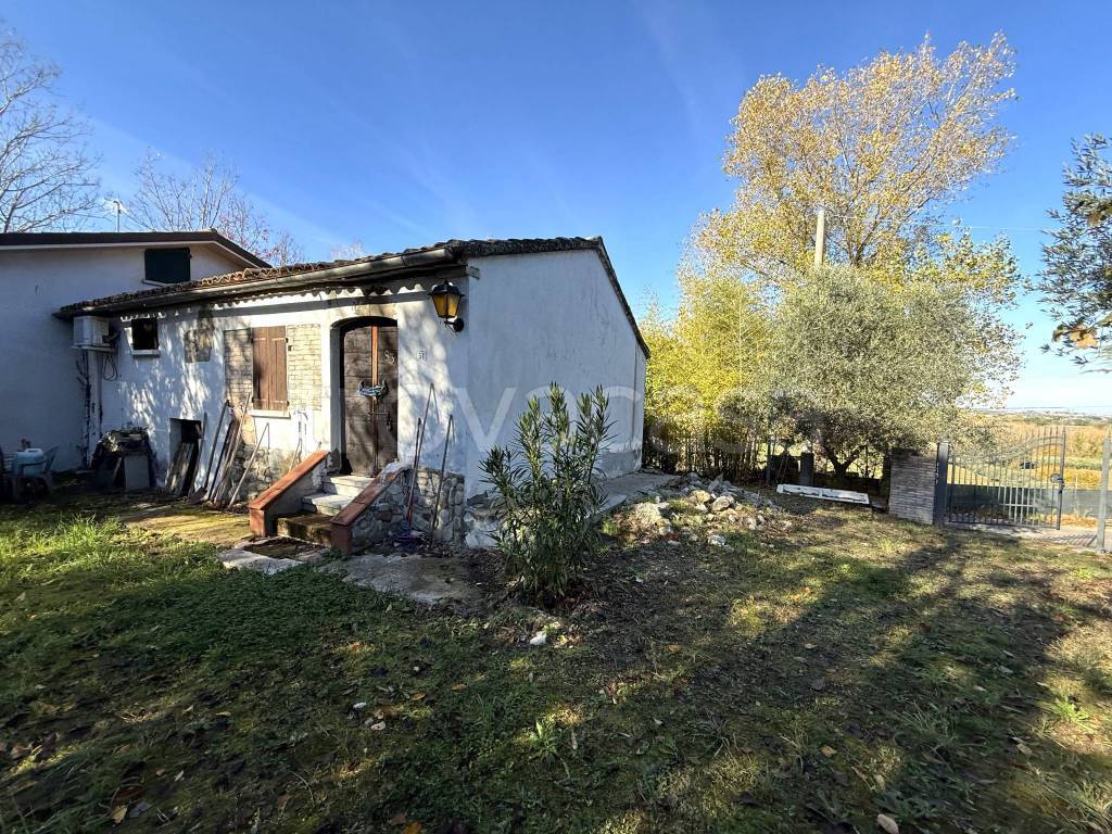 immagine annuncio 3 di 14