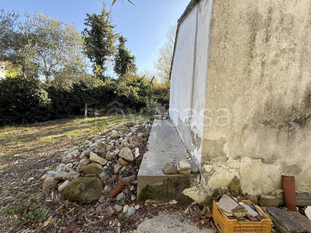 immagine annuncio 10 di 14