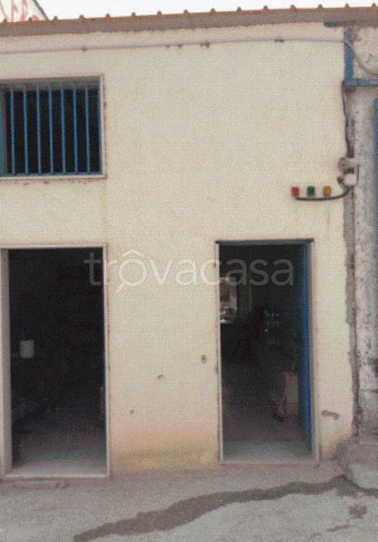 immagine annuncio 9 di 12