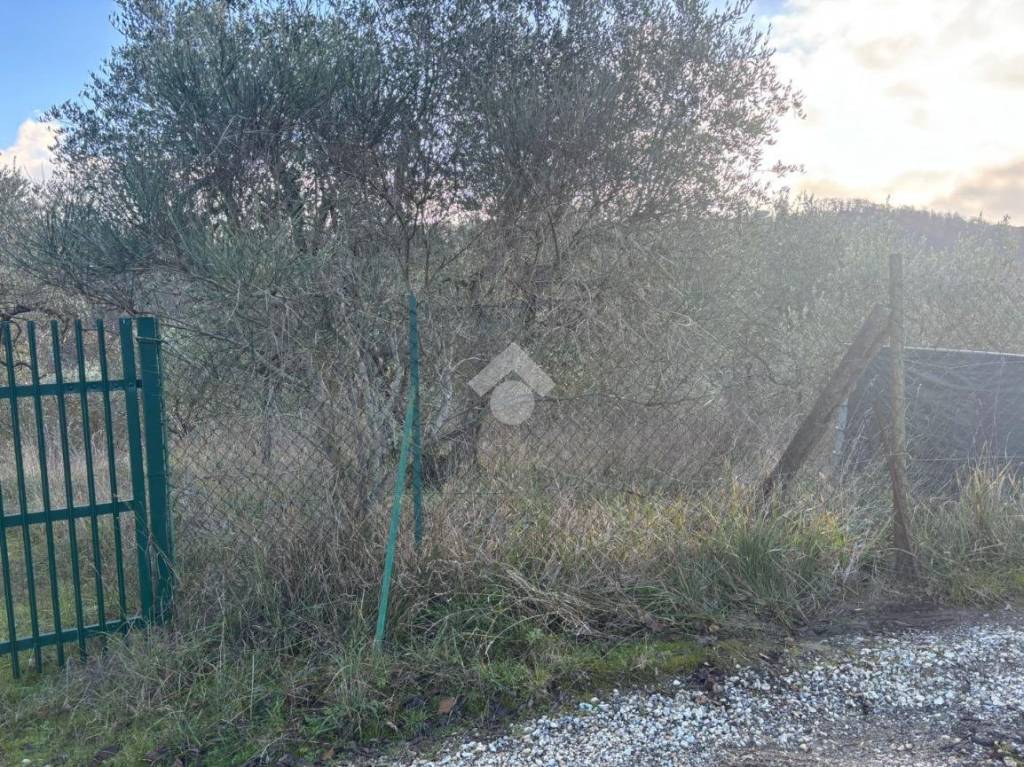 immagine annuncio 1 di 14