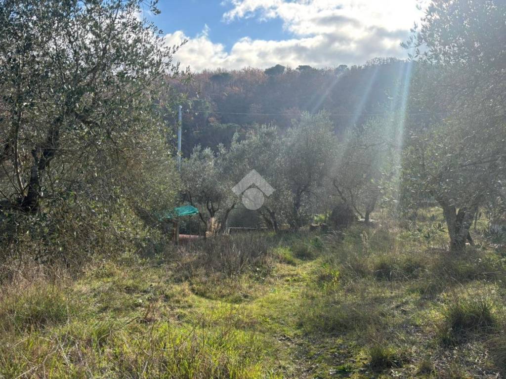 immagine annuncio 3 di 14