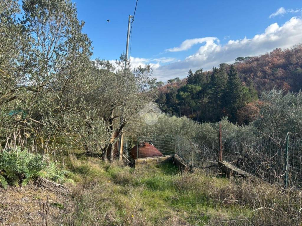 immagine annuncio 5 di 14