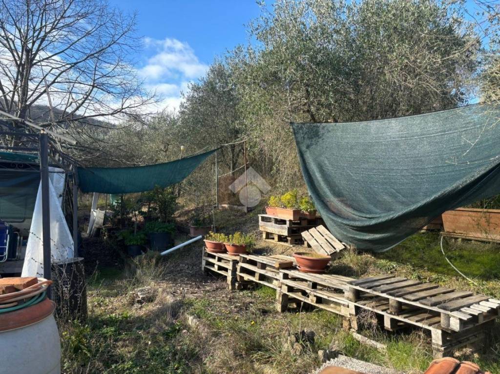 immagine annuncio 6 di 14