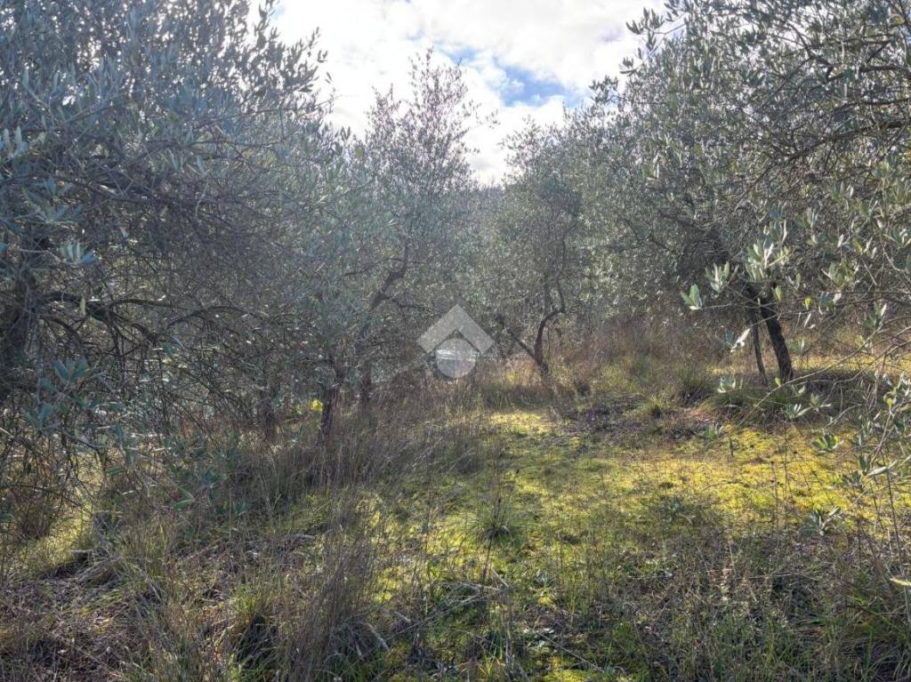 immagine annuncio 7 di 14