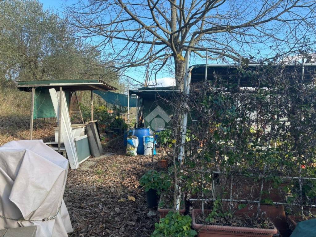 immagine annuncio 9 di 14