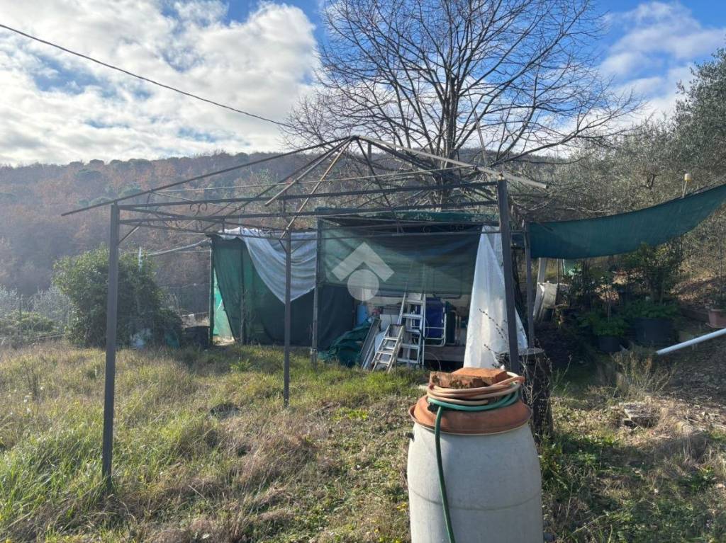 immagine annuncio 10 di 14