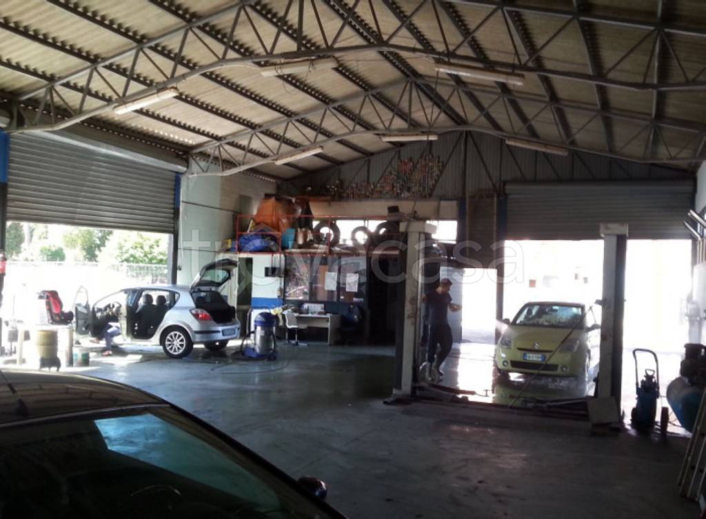 immagine annuncio 11 di 15