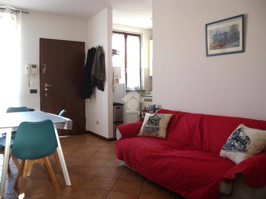 immagine annuncio 7 di 15