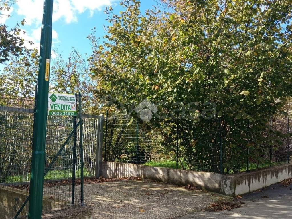 immagine annuncio 3 di 11