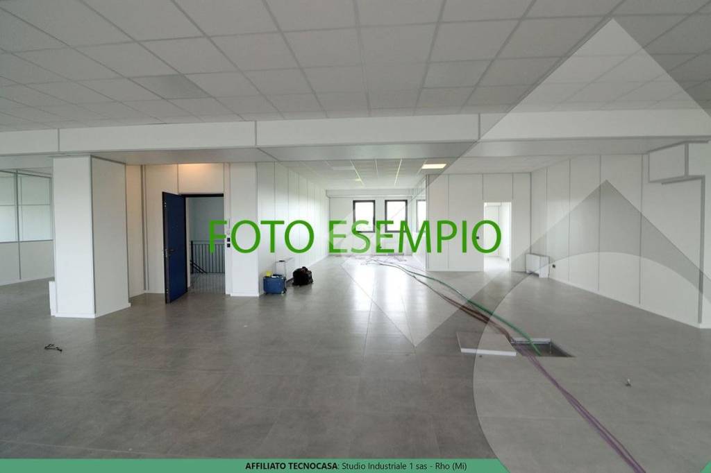 immagine annuncio 3 di 14