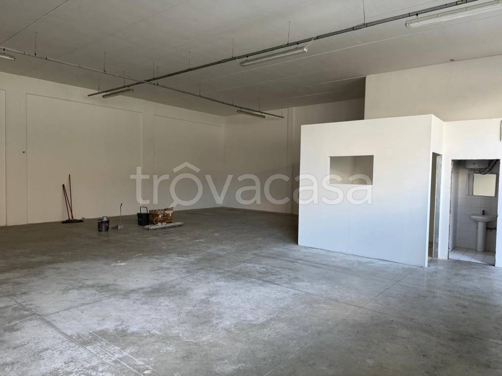 immagine annuncio 1 di 8