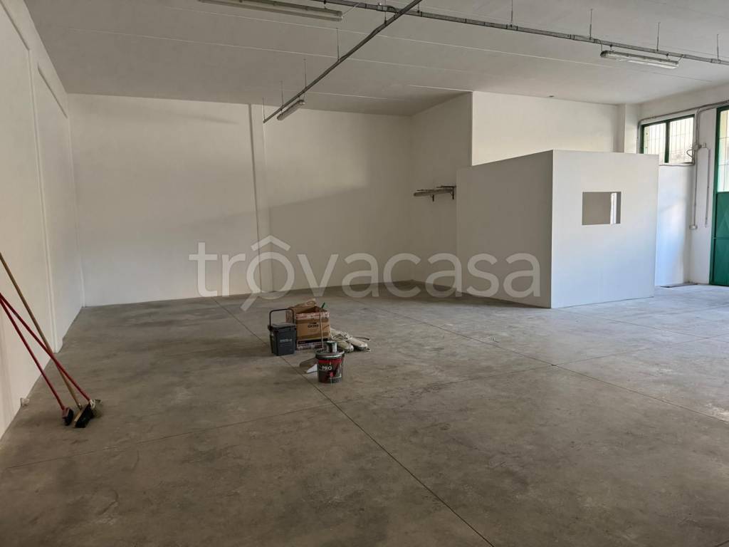 immagine annuncio 2 di 8