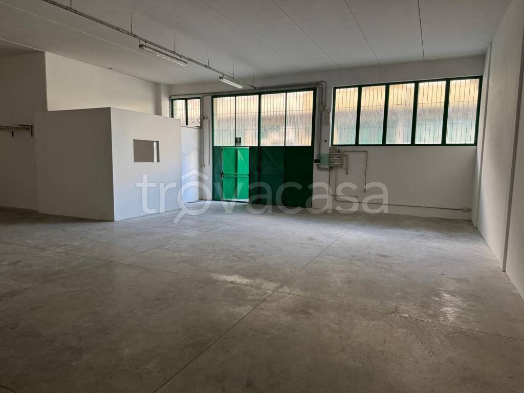 immagine annuncio 3 di 8