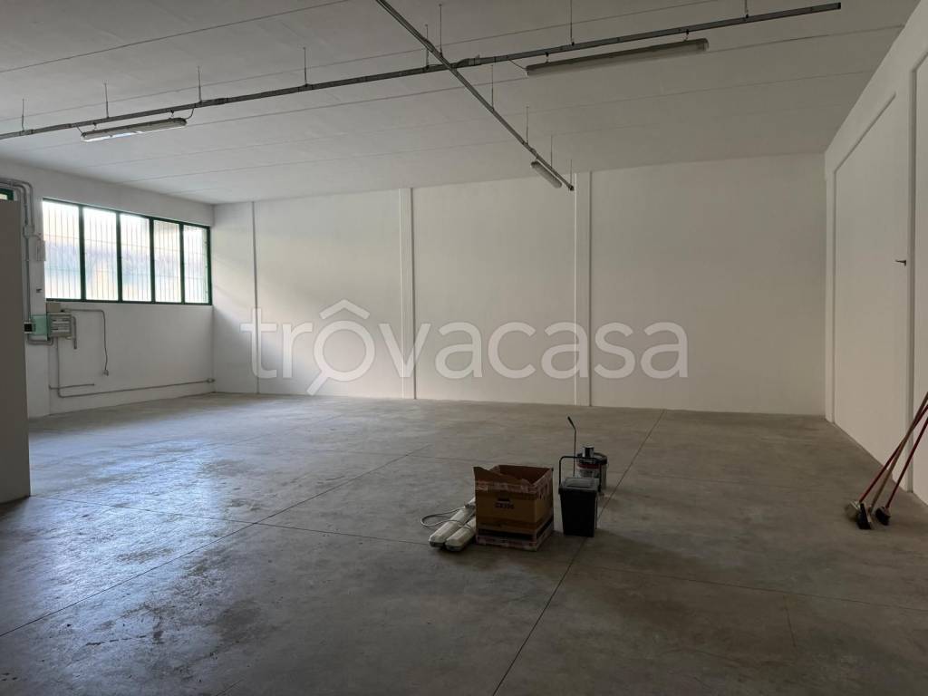 immagine annuncio 4 di 8