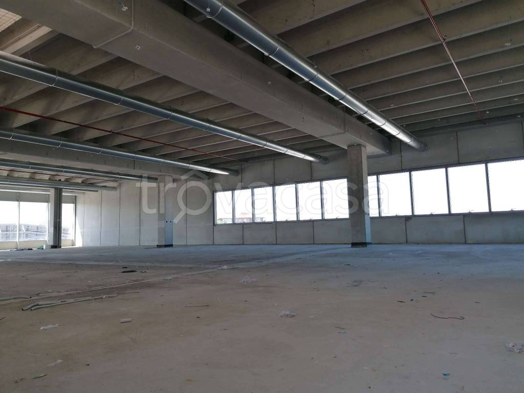 immagine annuncio 4 di 9