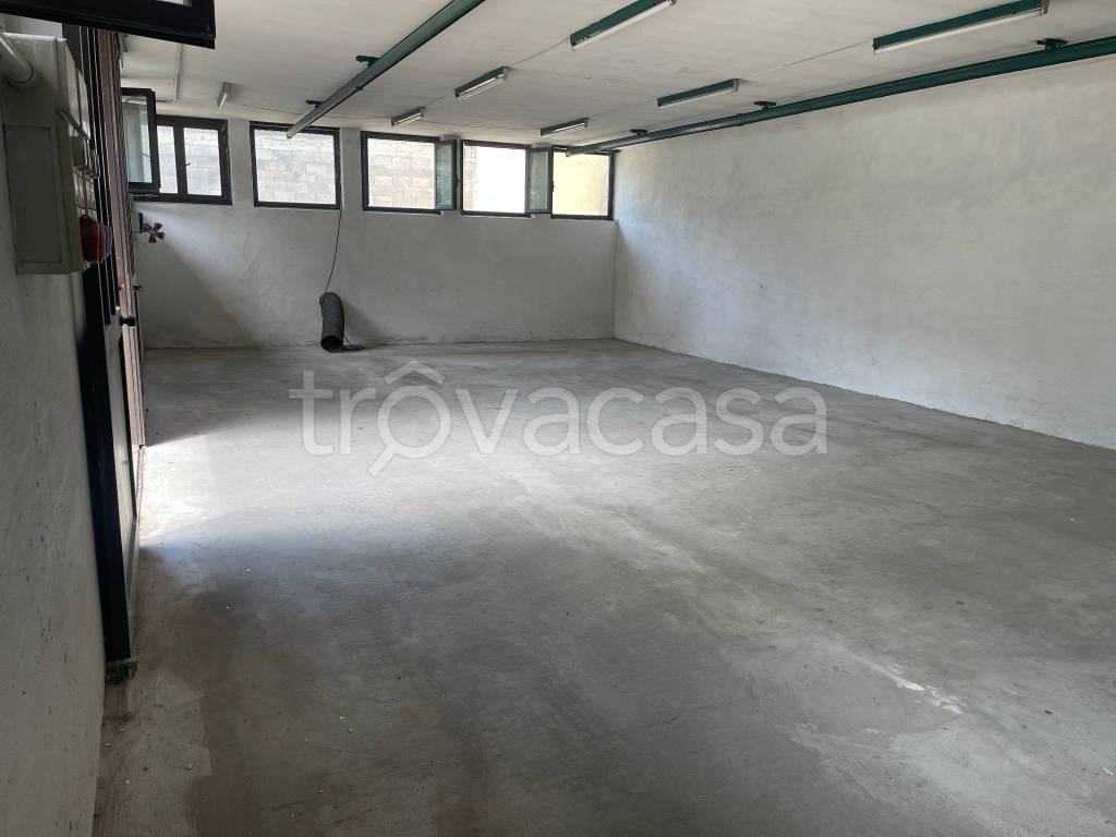 immagine annuncio 6 di 12