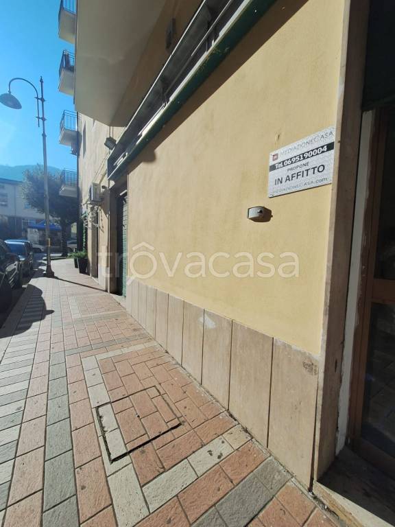 immagine annuncio 5 di 12