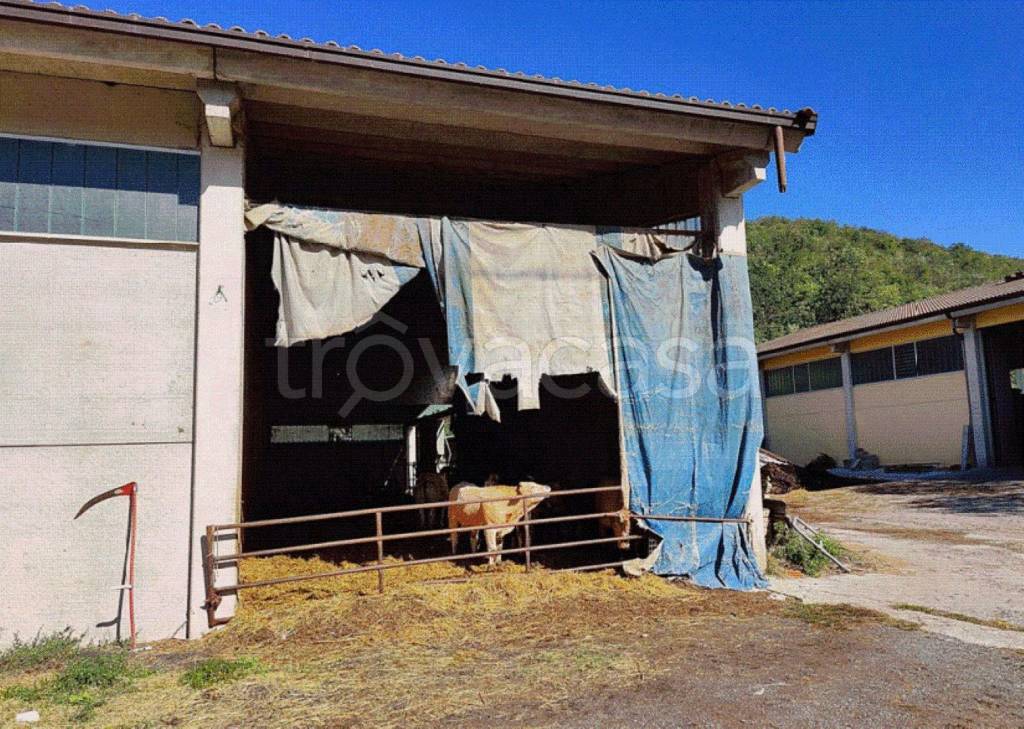 immagine annuncio 6 di 11