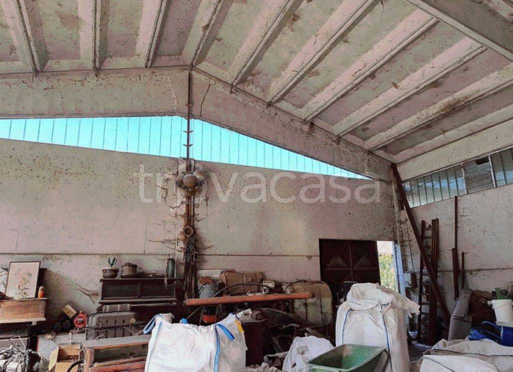 immagine annuncio 7 di 11