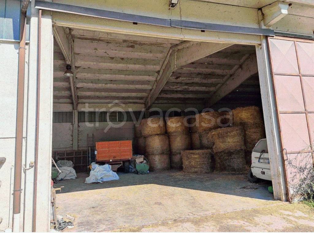 immagine annuncio 8 di 11