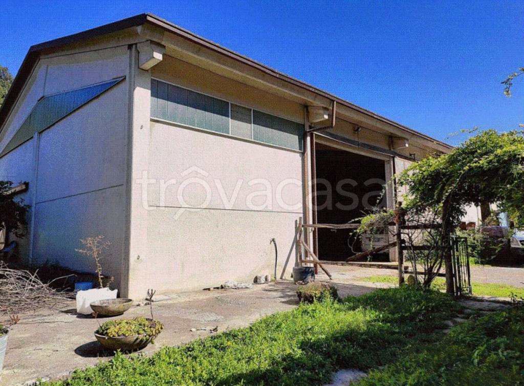 immagine annuncio 9 di 11