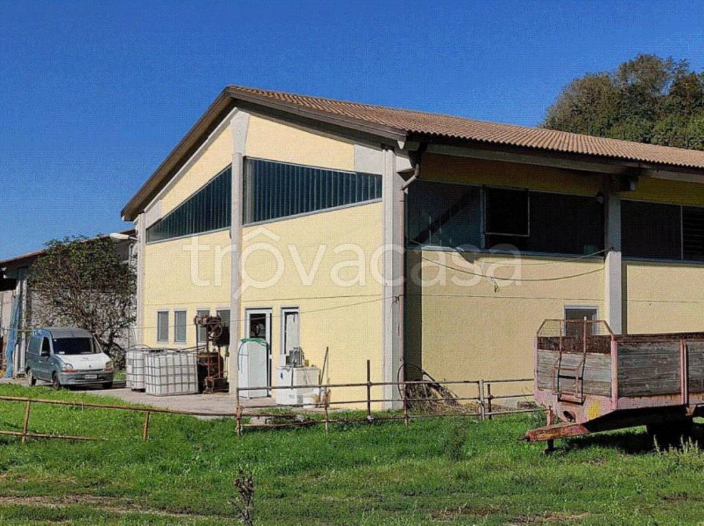 immagine annuncio 10 di 11