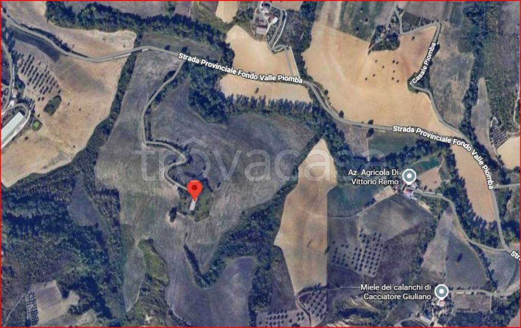 immagine annuncio 11 di 12