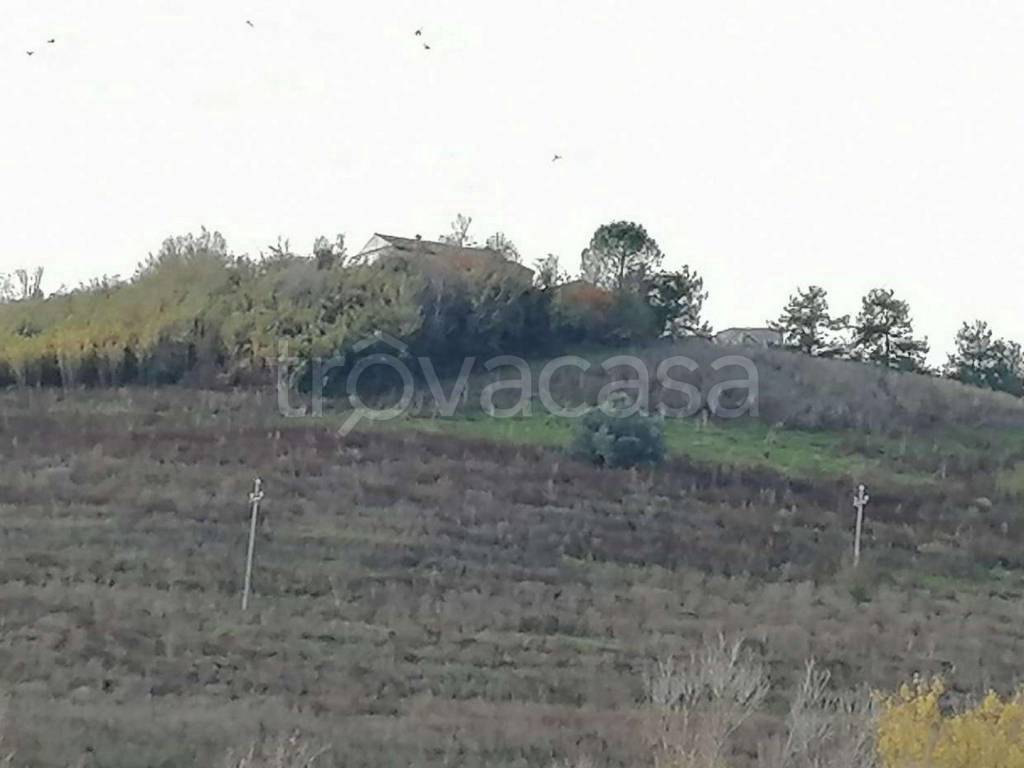 immagine annuncio 7 di 12