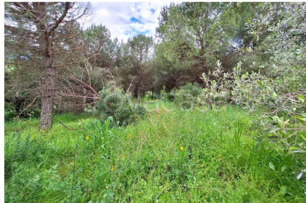 immagine annuncio 7 di 11