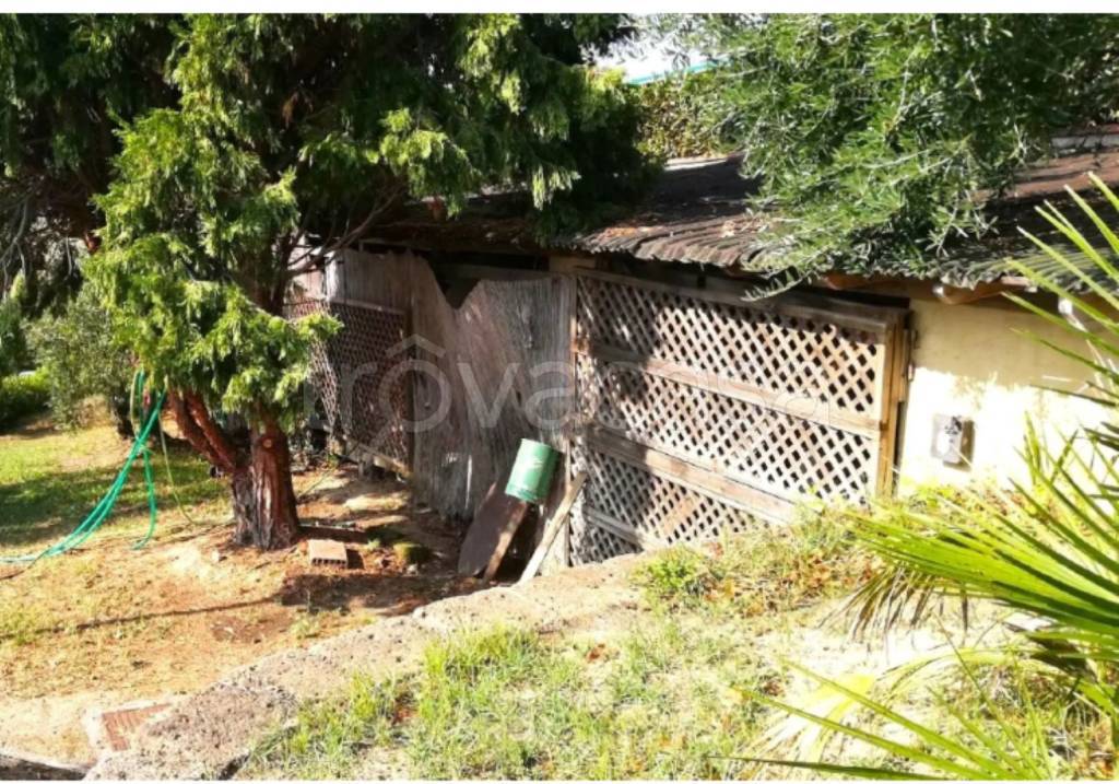 immagine annuncio 9 di 11