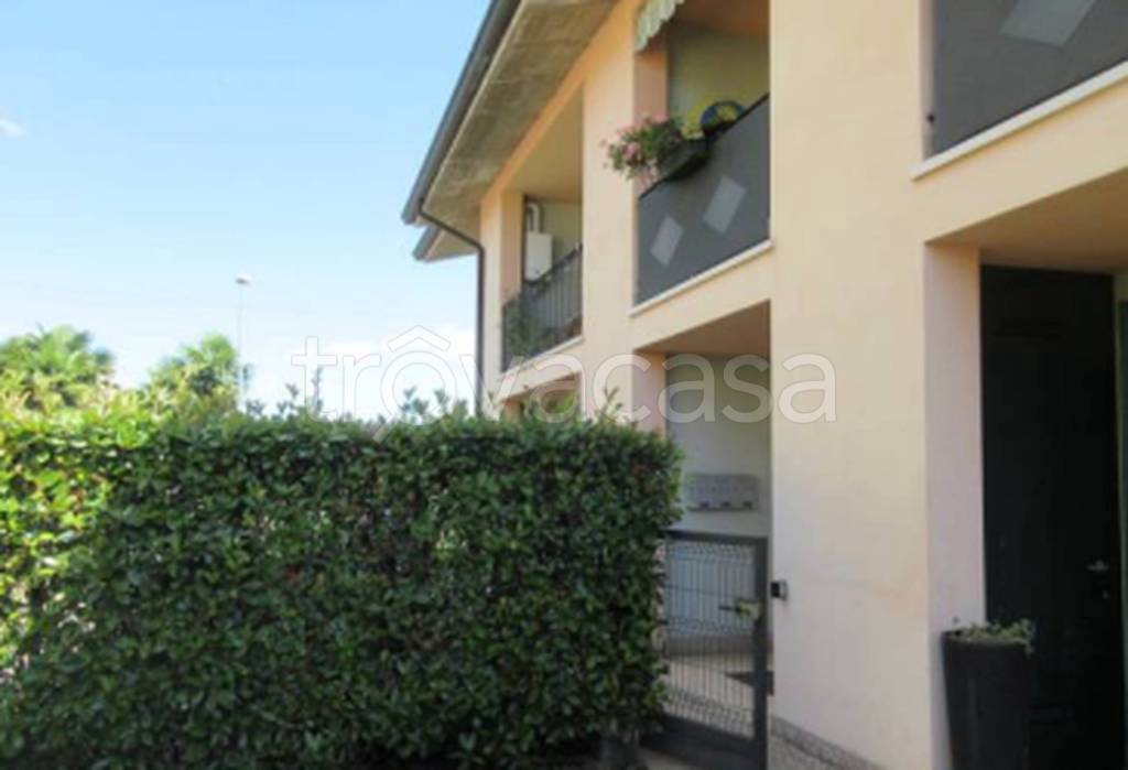 immagine annuncio 7 di 11