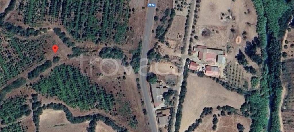 immagine annuncio 11 di 14