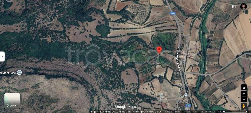 immagine annuncio 12 di 14