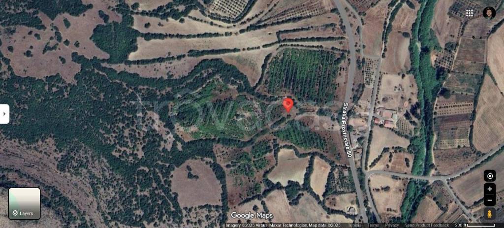 immagine annuncio 13 di 14