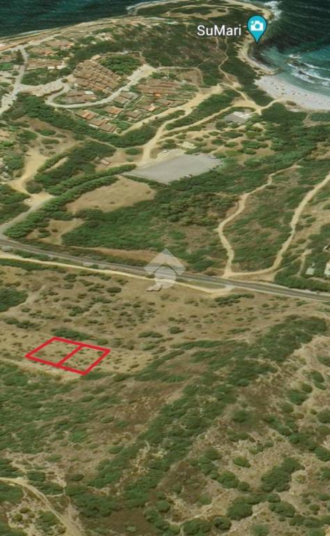 immagine annuncio 2 di 4