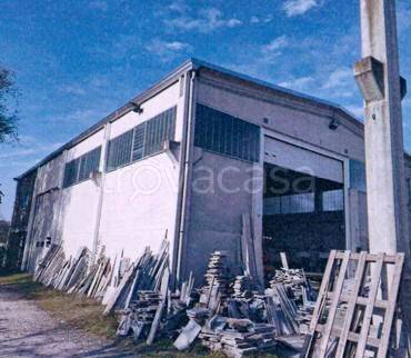 immagine annuncio 4 di 12