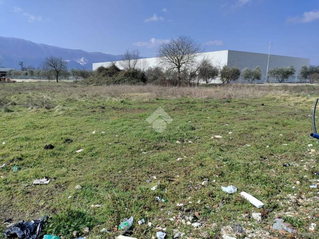 immagine annuncio 11 di 15
