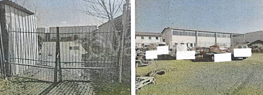 immagine annuncio 9 di 14