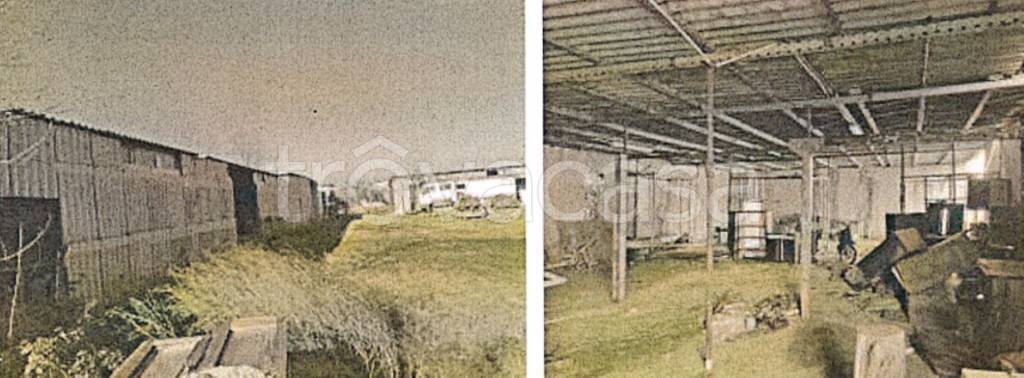 immagine annuncio 11 di 14